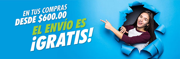 Envío gratis a partir de $600